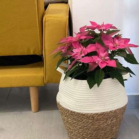 Nuevo Apartamento Folin Don Benito Extérieur photo